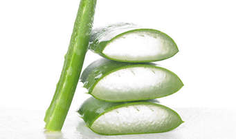 aloe3pic