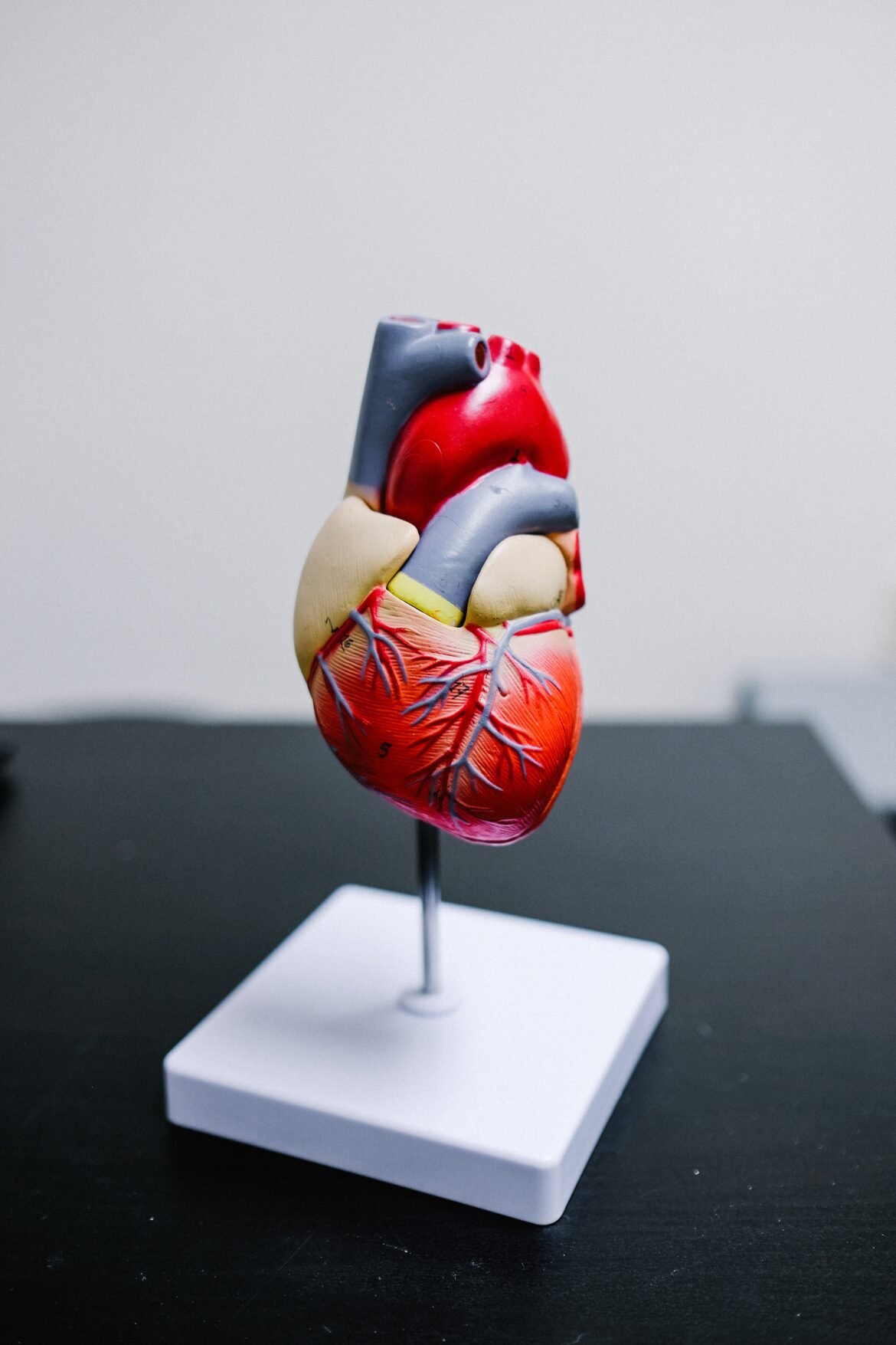 World Liver Day -19th April